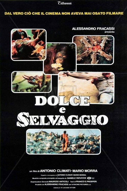Movie poster for Sweet and Savage (1983)