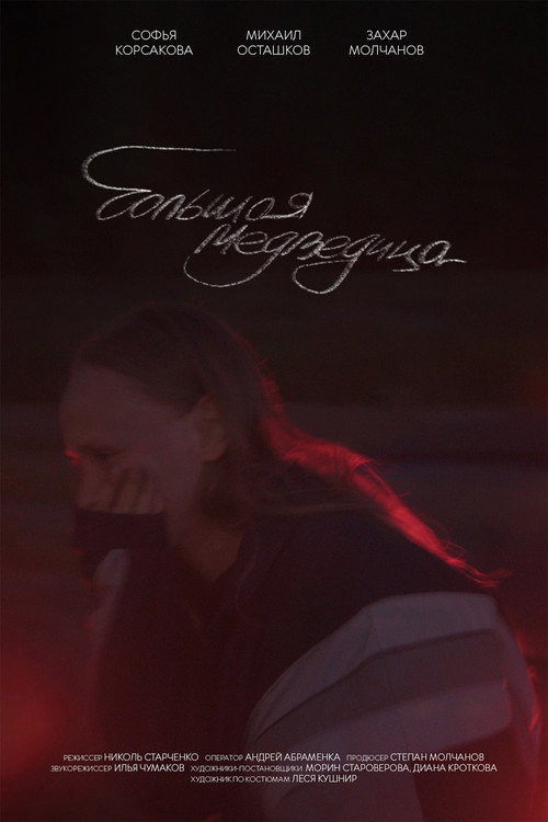 Movie poster for Большая медведица (2025)