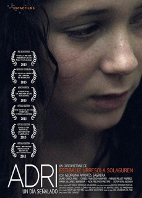 Movie poster for Adri (2013)