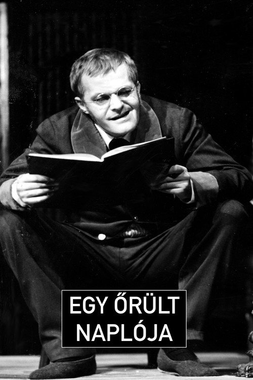 Movie poster for Egy őrült naplója (1977)