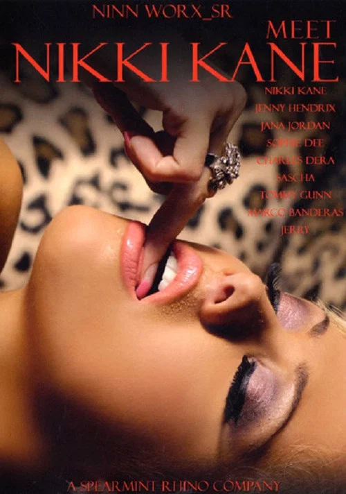 Movie poster for Meet Nikki Kane (2007)