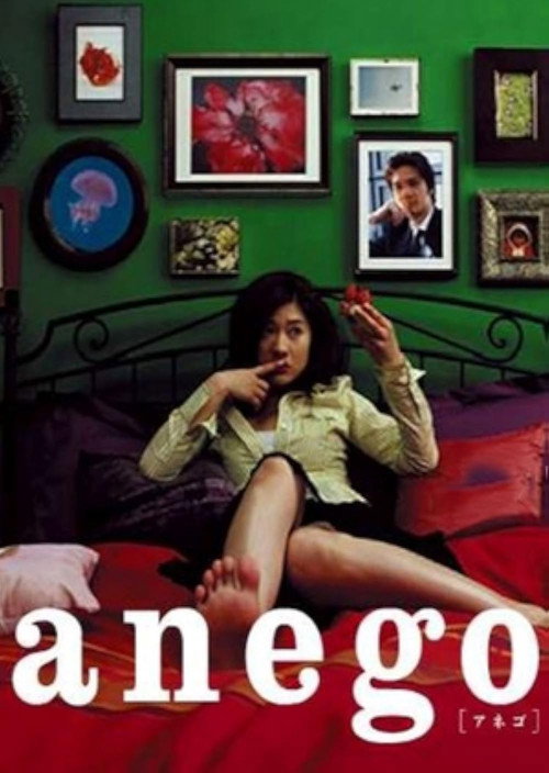Movie poster for Anego Special (2005)