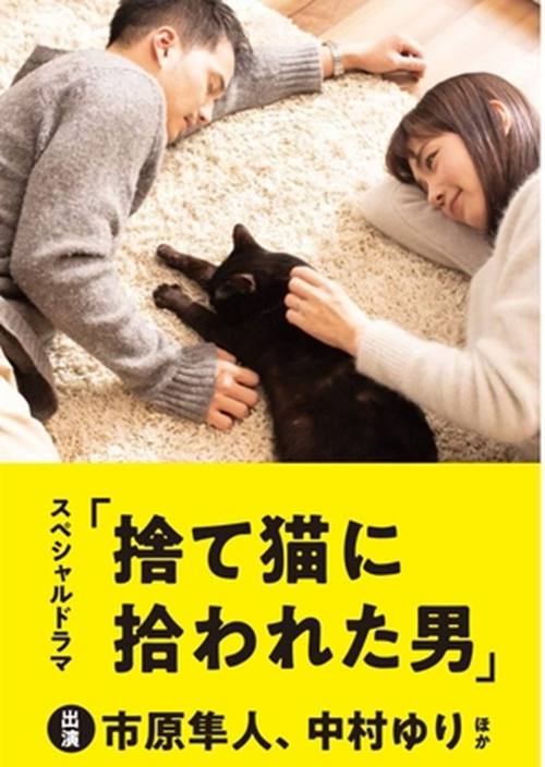 Movie poster for The Man Who Got Picked Up by a Stray Cat (2019)