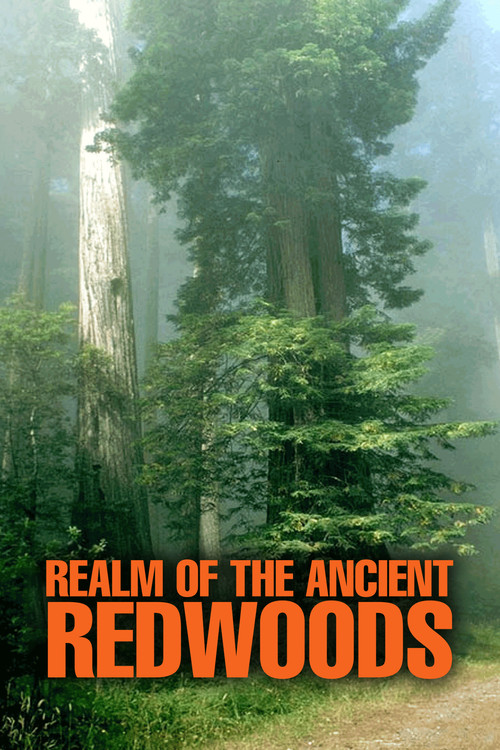 Movie poster for Realm of the Ancient Redwoods (2014)
