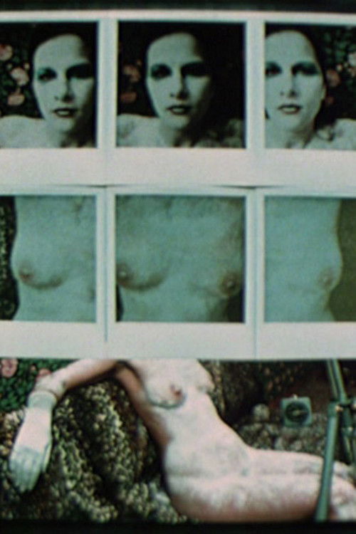 Movie poster for Transformation by Holding Time (Artist with Muse) (1976)