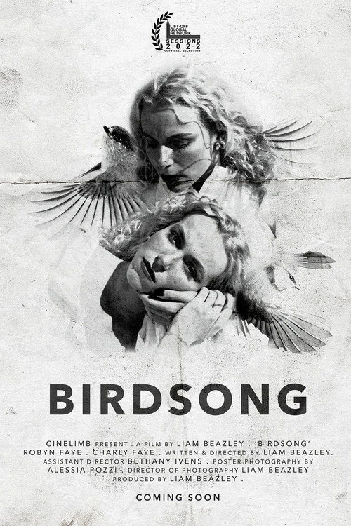 Movie poster for Birdsong (2022)