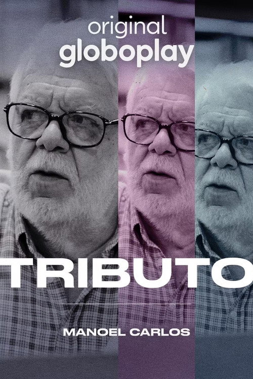 Movie poster for Tributo: Manoel Carlos (2024)