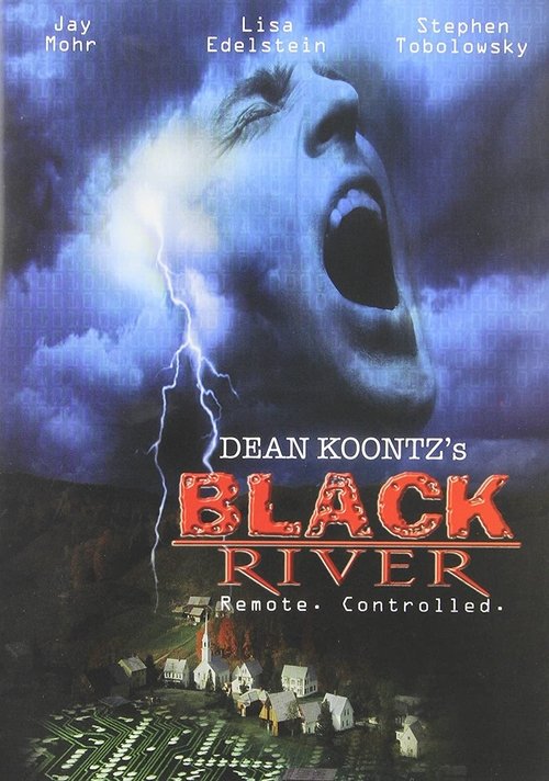 Movie poster for Black River (2001)