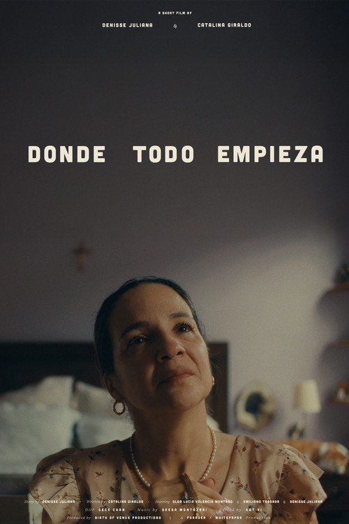 Movie poster for Donde todo empieza (2025)