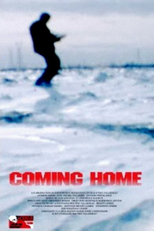 Movie poster for Coming Home (2008)