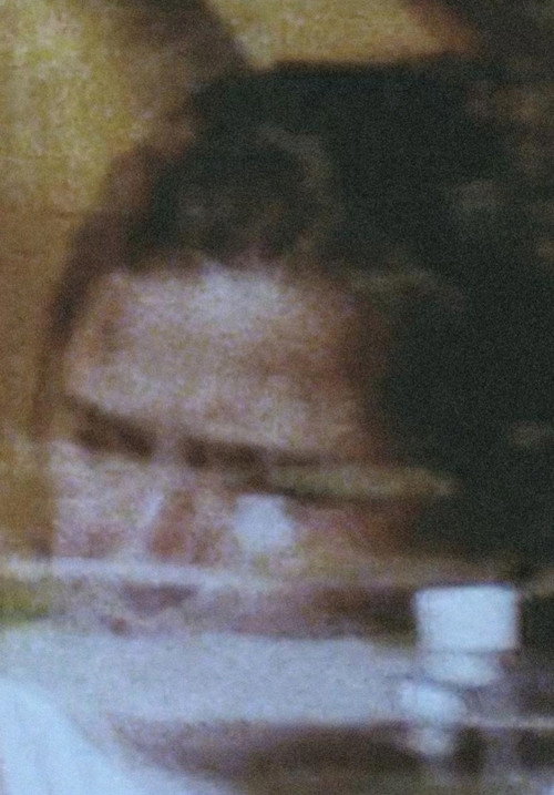 Movie poster for Trains Are for Dreaming (2009)