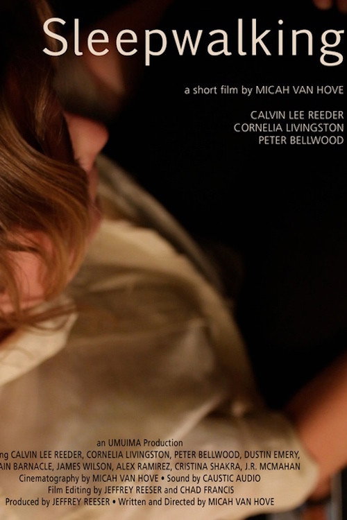 Movie poster for Sleepwalking