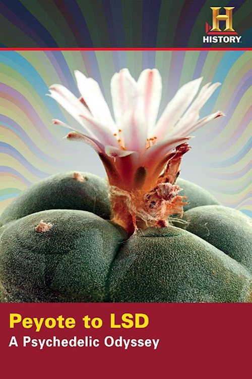 Movie poster for Peyote to LSD: A Psychedelic Odyssey (2008)