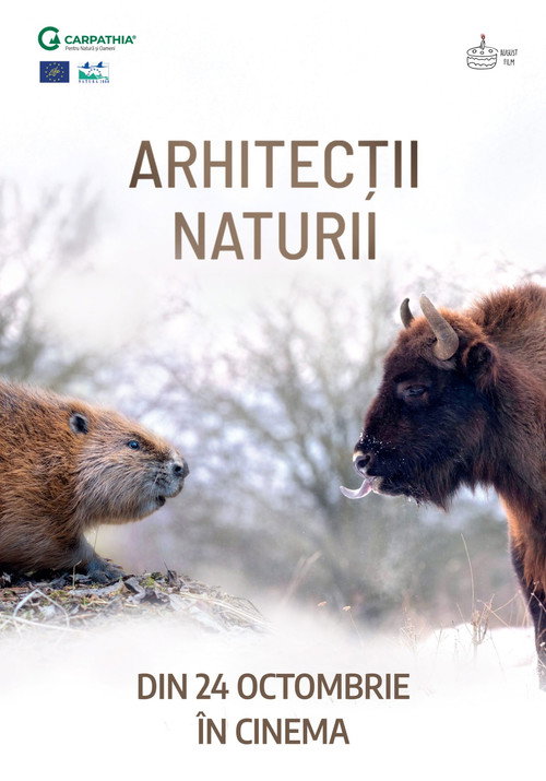 Movie poster for Nature's Architects (2025)
