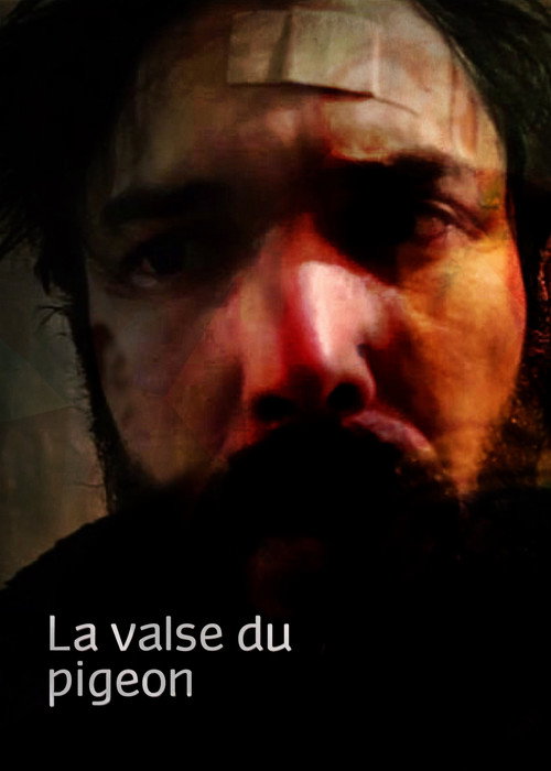Movie poster for La valse du pigeon (2020)