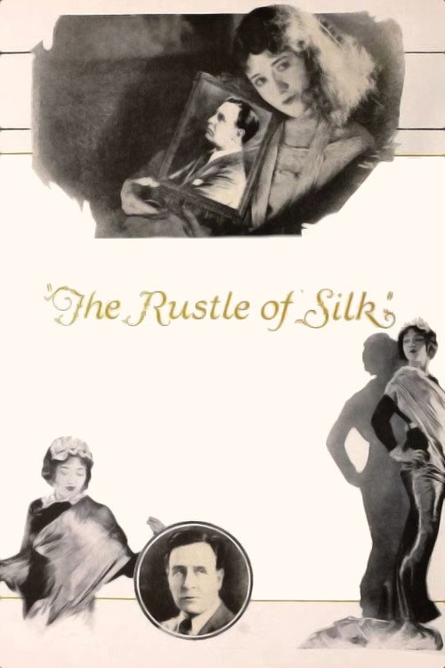 Movie poster for The Rustle of Silk (1923)