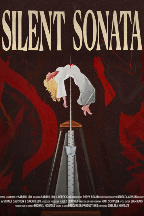 Movie poster for Silent Sonata