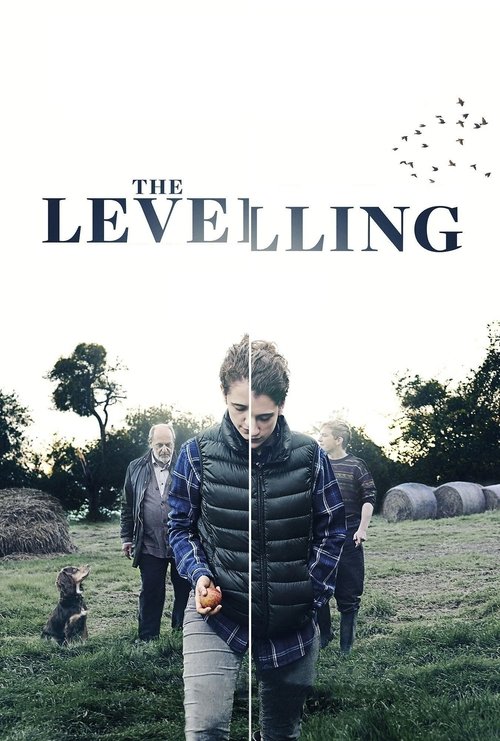 Movie poster for The Levelling (2017)