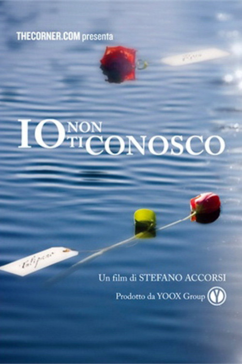 Movie poster for Io non ti conosco (2013)