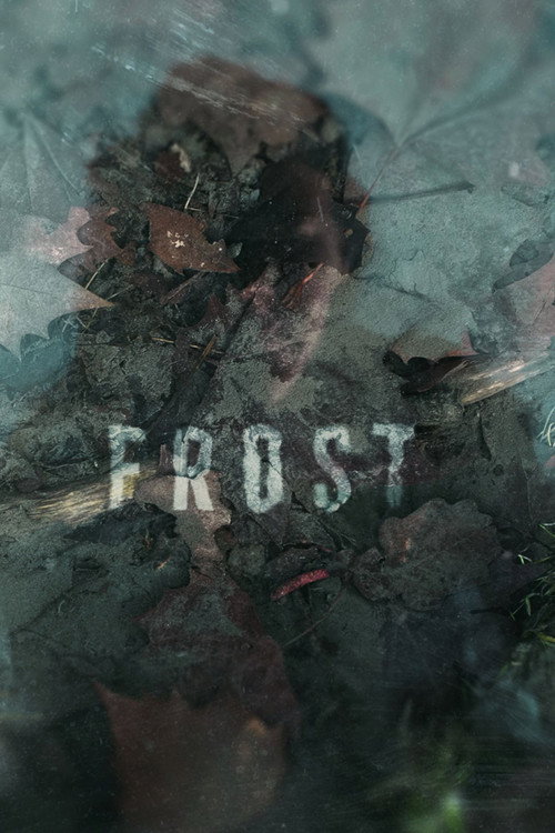 Movie poster for Frost