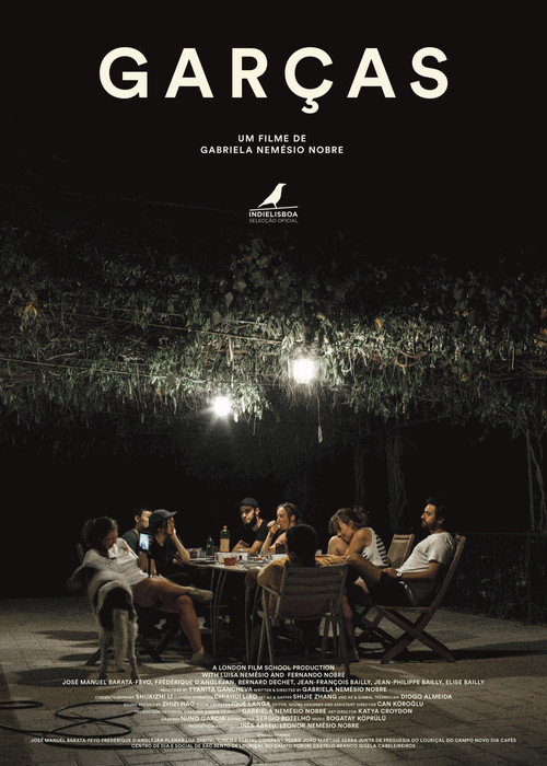 Movie poster for Egrets