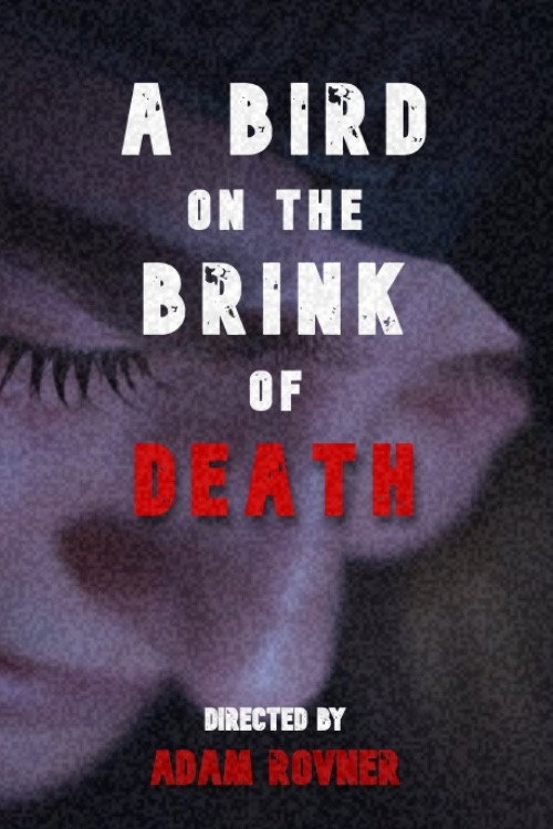 Movie poster for A Bird on the Brink of Death