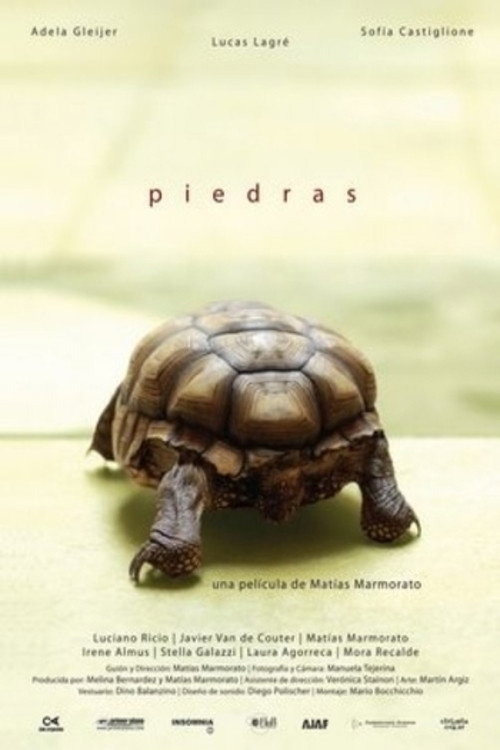 Movie poster for Piedras (2010)