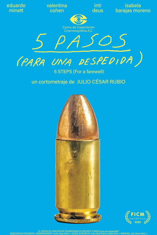 Movie poster for 5 PASOS (para una despedida) (2025)