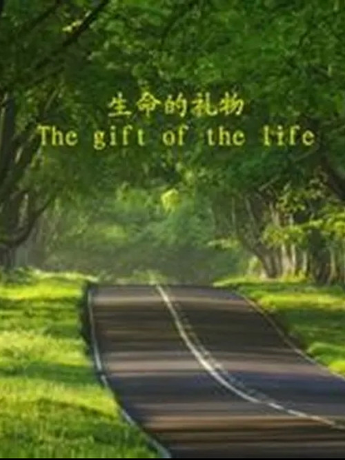 Movie poster for The Gift of the Life (2014)