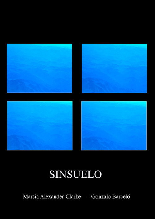 Movie poster for Sinsuelo (2023)