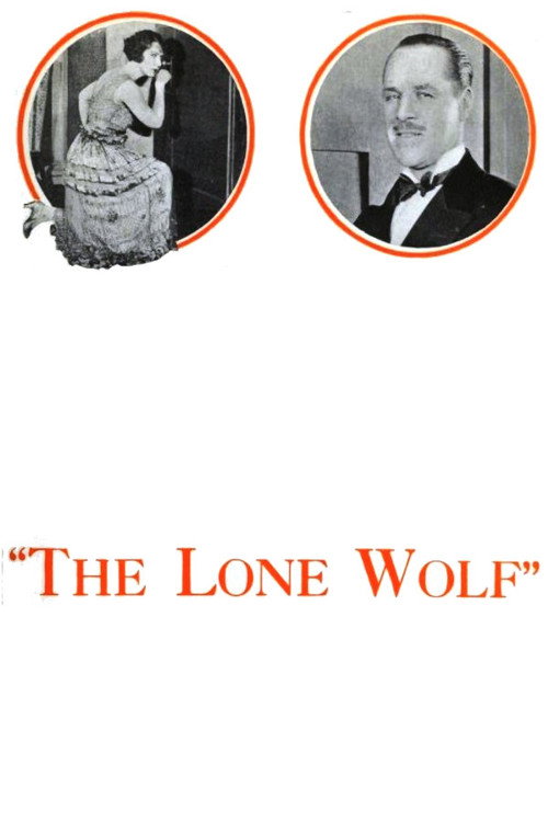Movie poster for The Lone Wolf (1924)
