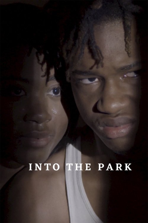 Movie poster for Into the Park (2022)