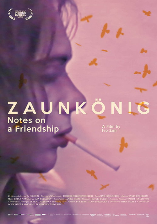 Movie poster for King of the Airs: Notes on a Friendship (2017)