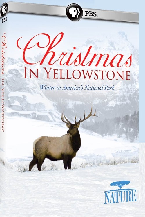 Movie poster for Christmas in Yellowstone (2006)