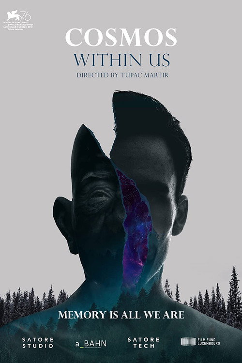 Movie poster for Cosmos Within Us (2019)