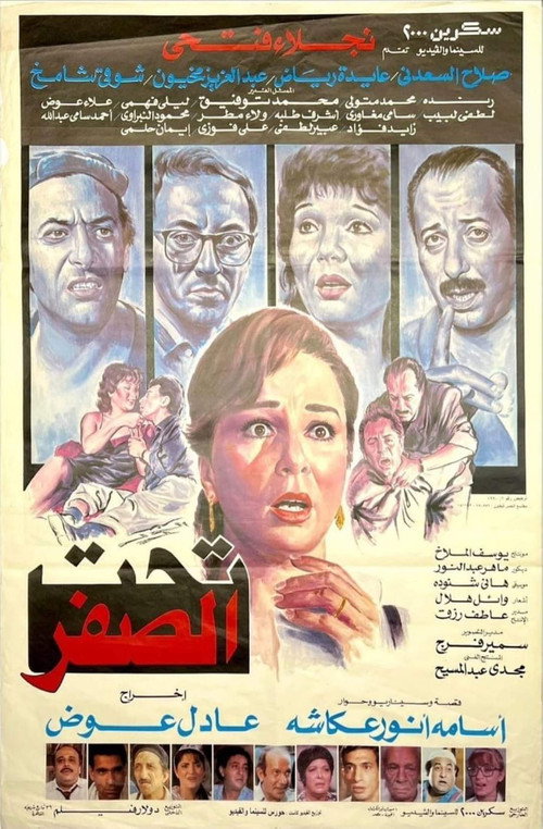 Movie poster for Below Zero (1990)