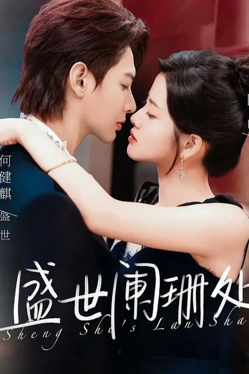 盛世阑珊处 poster