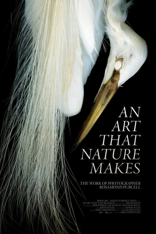 Movie poster for An Art That Nature Makes: The Work of Rosamond Purcell (2016)