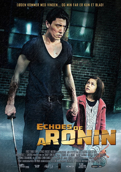 Movie poster for Echoes of a Ronin (2015)