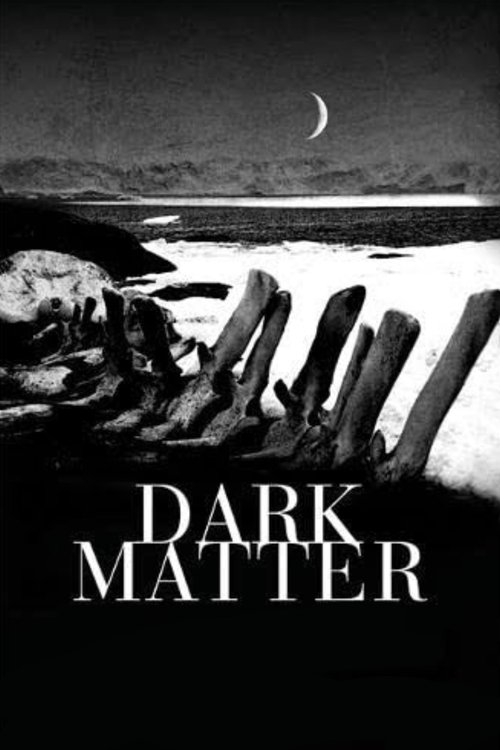 Movie poster for Dark Matter
