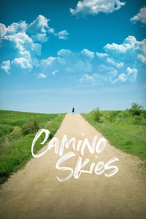 Movie poster for Camino Skies (2019)