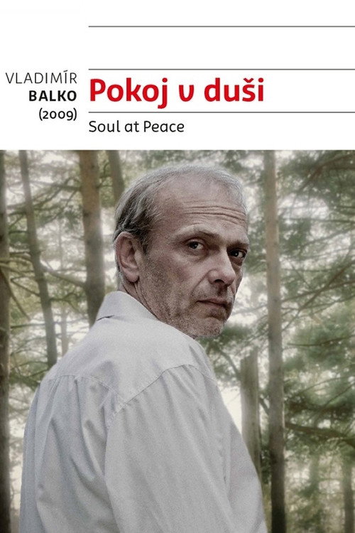 Movie poster for Soul at Peace (2009)