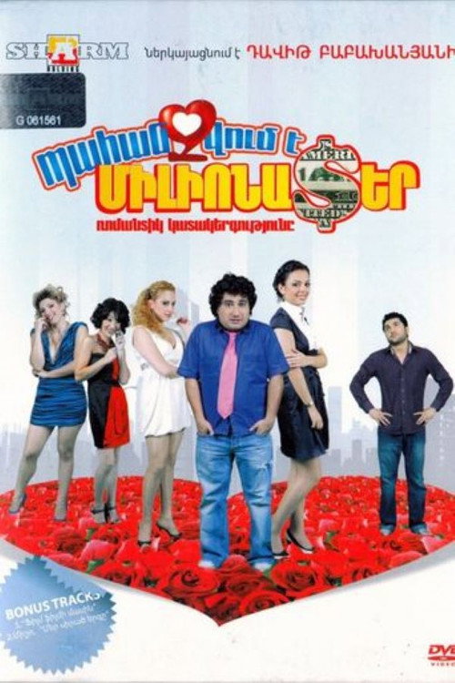Movie poster for A Millionaire Wanted (2010)