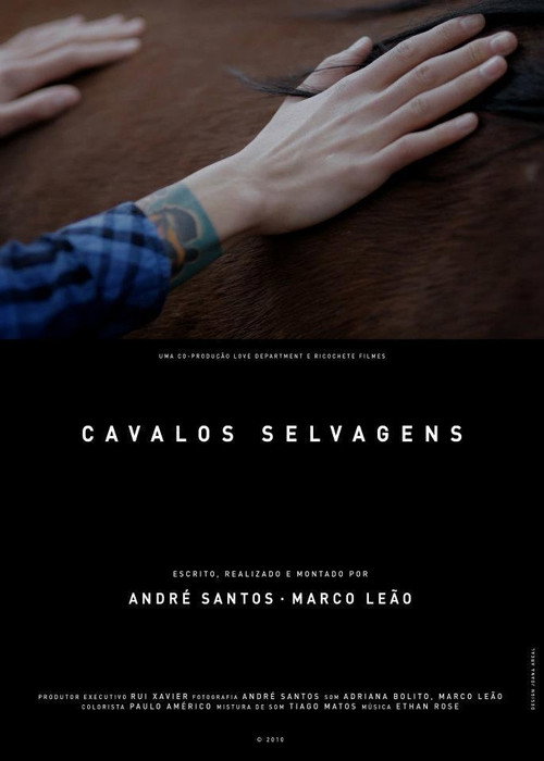 Movie poster for Wild Horses (2010)