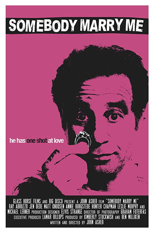 Movie poster for Somebody Marry Me (2013)
