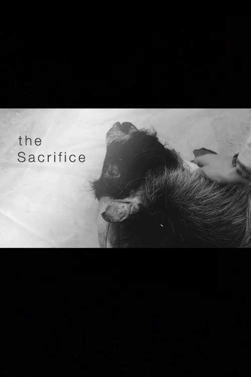 Movie poster for The Sacrifice (2021)