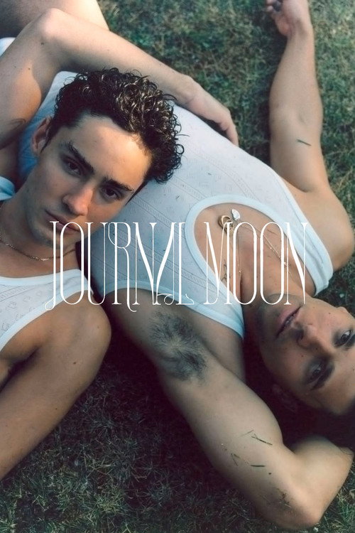 Movie poster for Transition (2021)