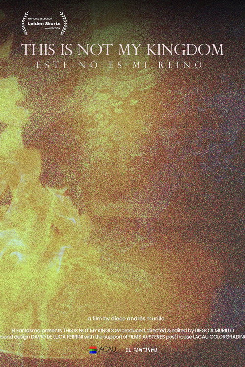 Movie poster for This Is Not My Kingdom (2021)