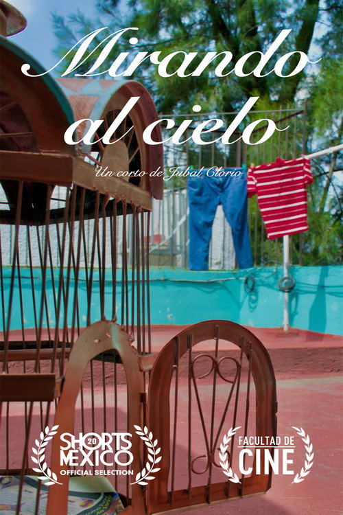 Movie poster for Mirando al Cielo (2025)