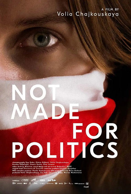Movie poster for Not Made for Politics (2025)